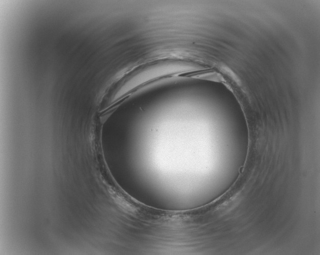 X0000071760922200607142358