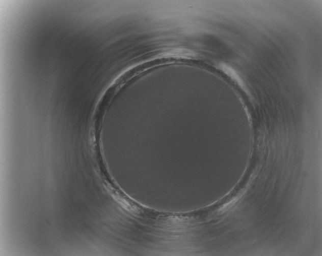 X0000071760923200607142358