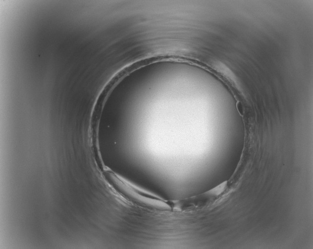 X0000071760924200607142358