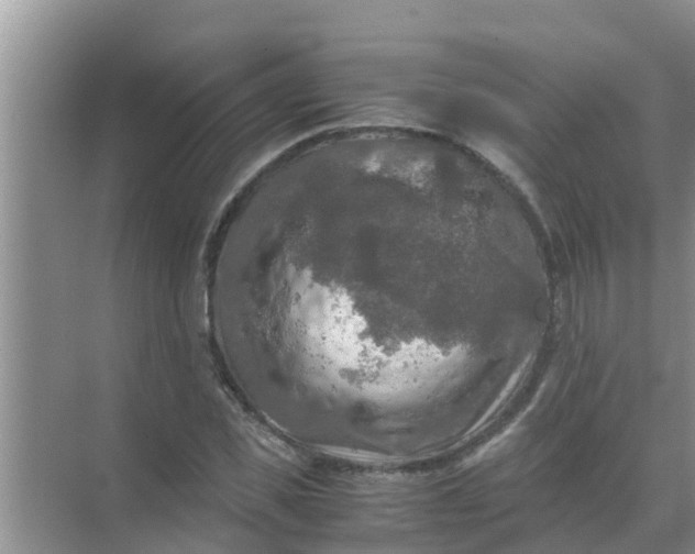 X0000071760925200607142358