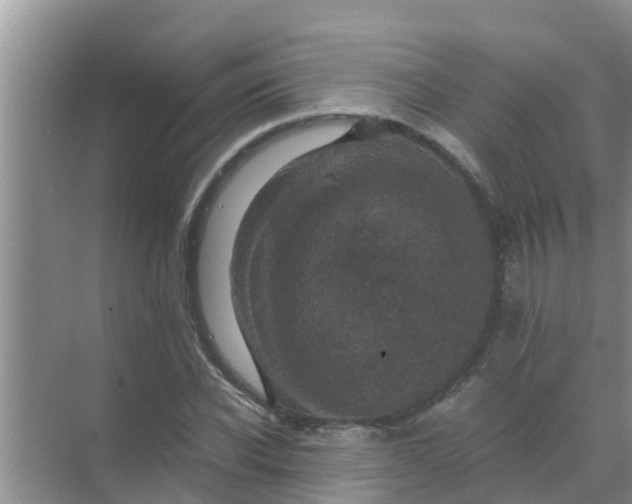 X0000071760926200607142358