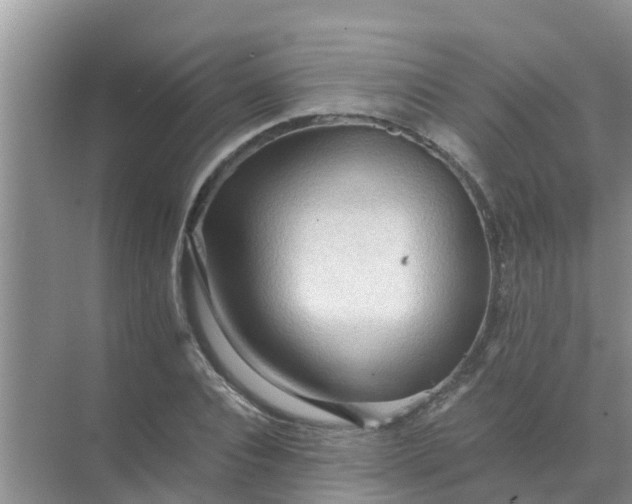 X0000071760928200607142358