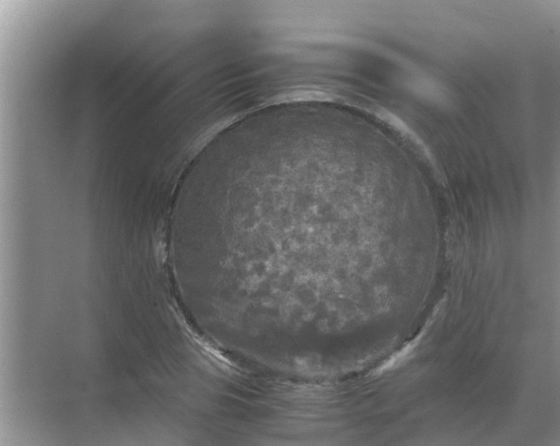 X0000071760929200607142358