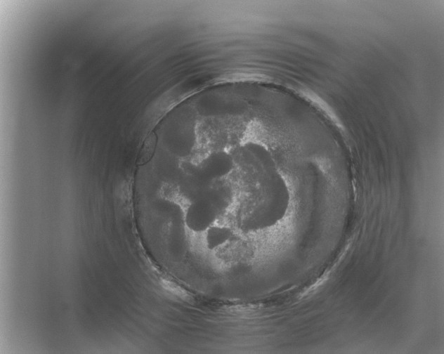 X0000071760937200607142358