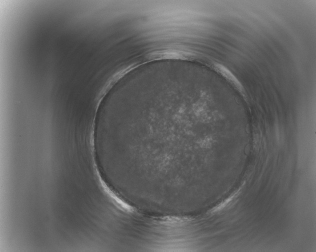 X0000071760938200607142359