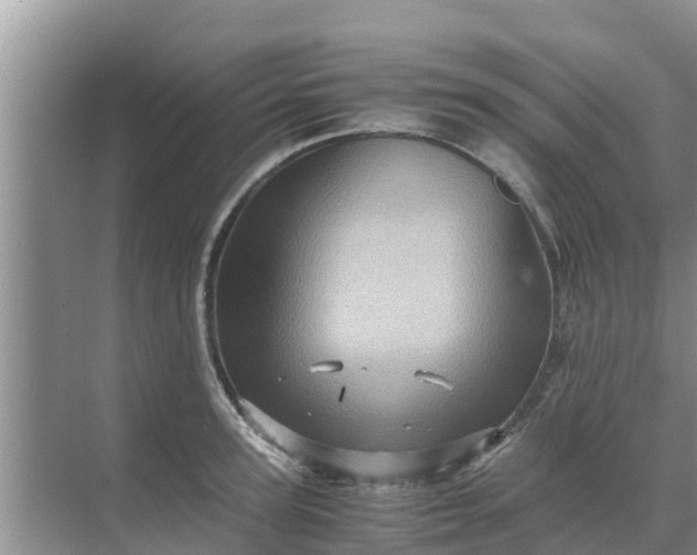 X0000071760947200607142359