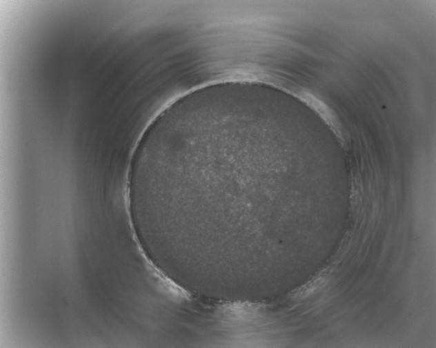 X0000071760950200607142359