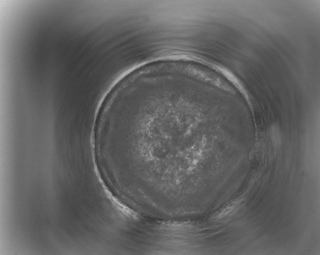 X0000071760951200607142359