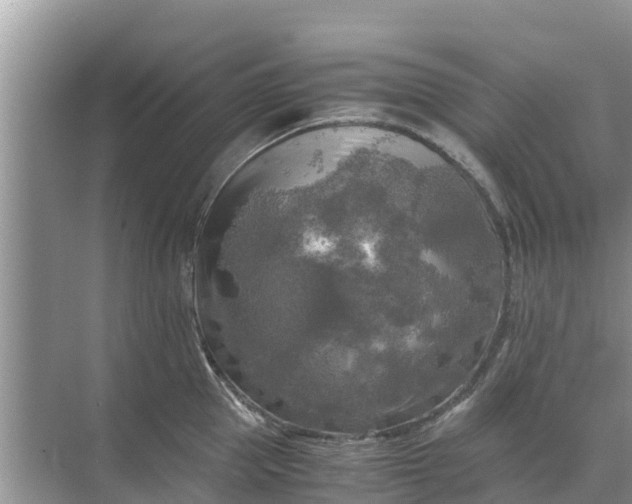 X0000071760953200607142359