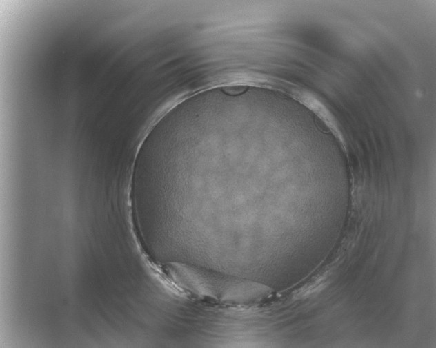 X0000071760954200607142359