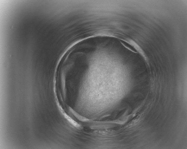 X0000071760955200607142359