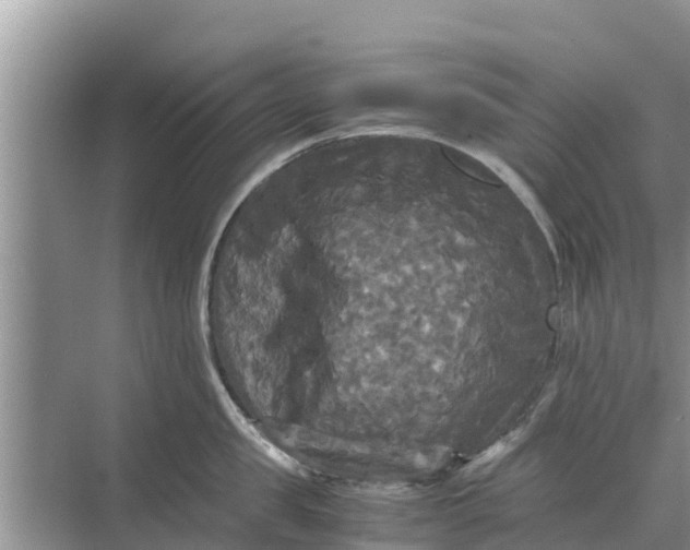 X0000071760957200607142359