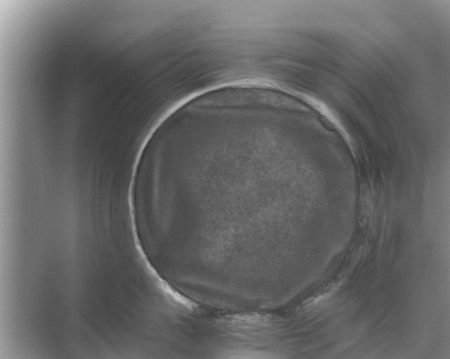 X0000071760959200607142359