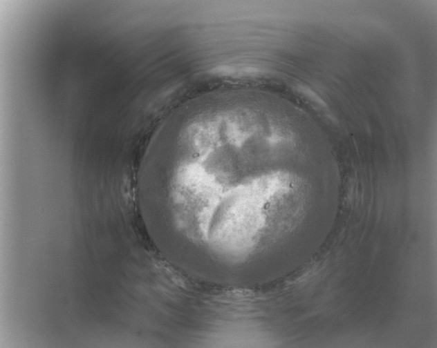 X0000071760966200607142358