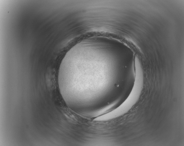 X0000071760968200607142358