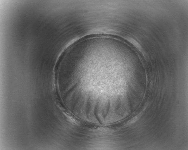 X0000071760974200607142358