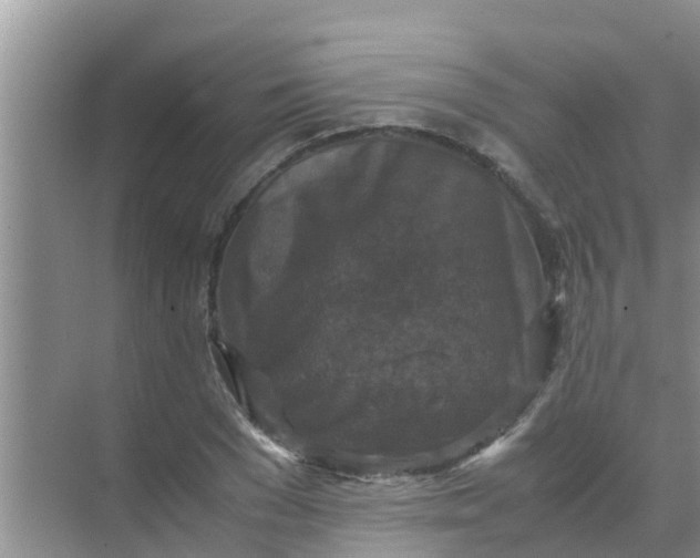 X0000071760977200607142358