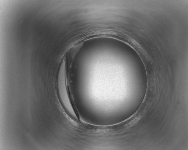 X0000071760985200607142358