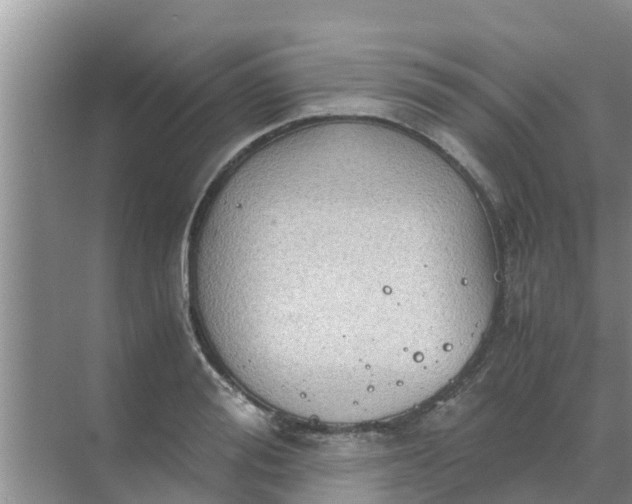 X0000071760988200607142358