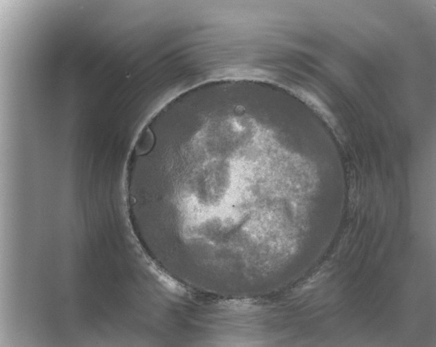 X0000071760990200607142358