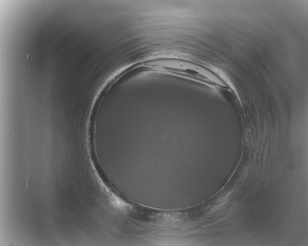 X0000071760995200607142358