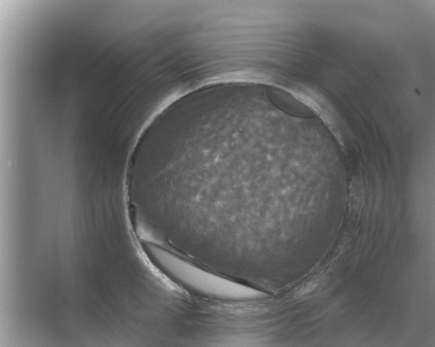 X0000071760998200607142357