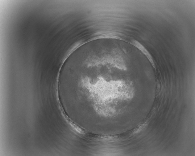 X0000071761002200607142357