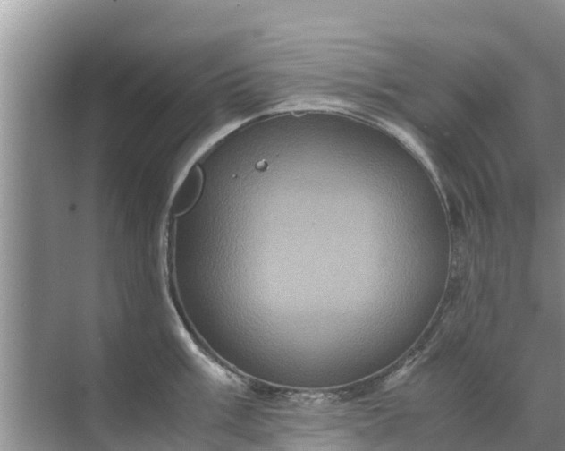 X0000071761003200607142357