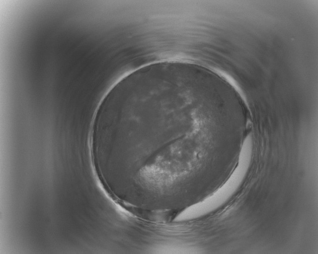 X0000071761007200607142357