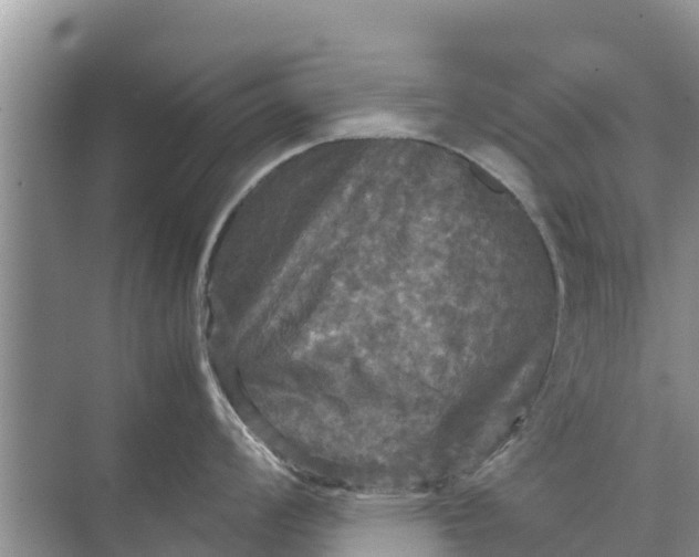 X0000071761008200607142357