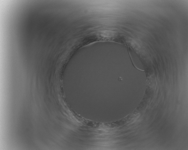 X0000071761009200607142356