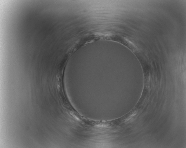 X0000071761010200607142356