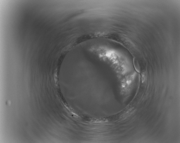 X0000071761011200607142357