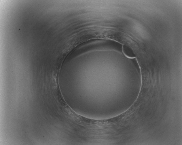 X0000071761013200607142357