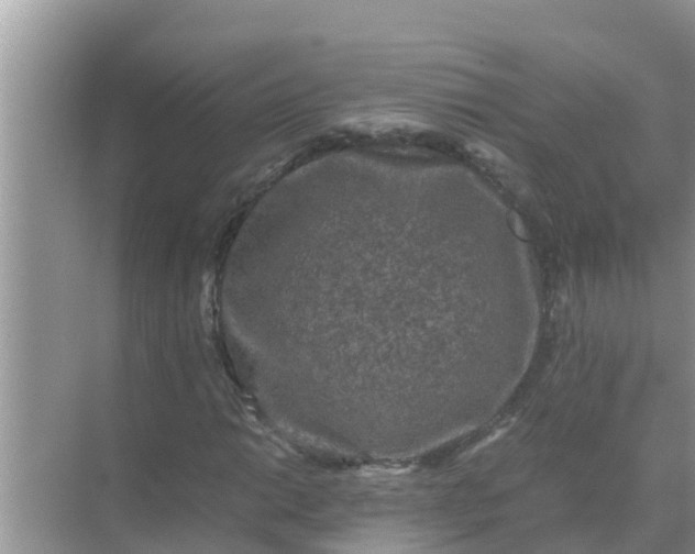 X0000071761014200607142357