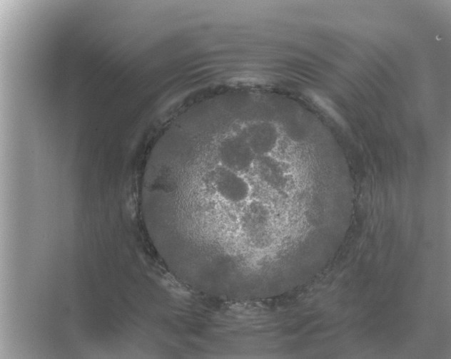 X0000071761015200607142357