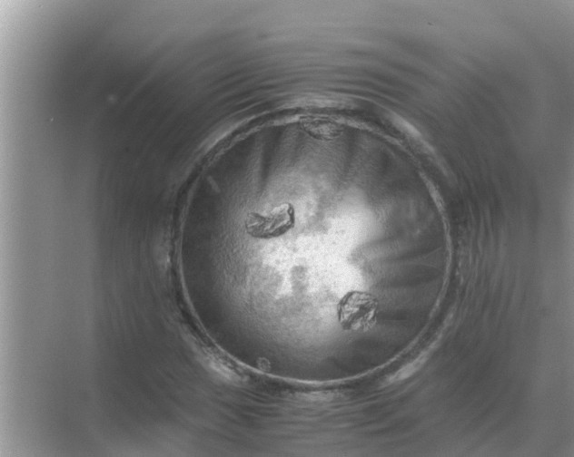 X0000071761017200607142357