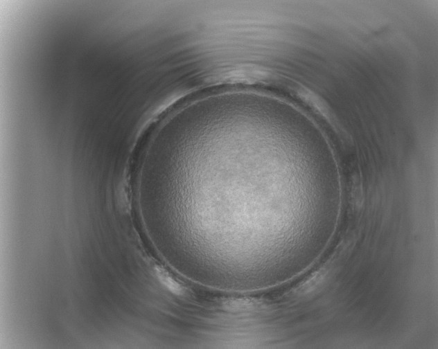 X0000071761018200607142357