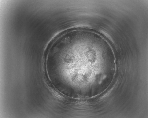 X0000071761021200607142357