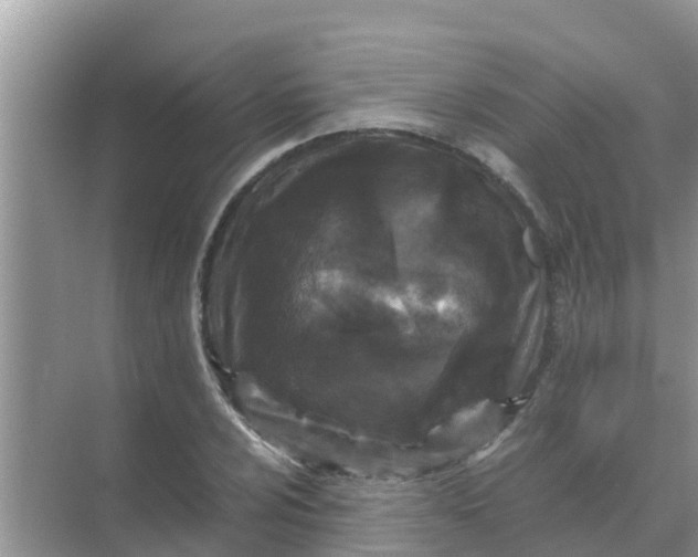 X0000071761024200607142357