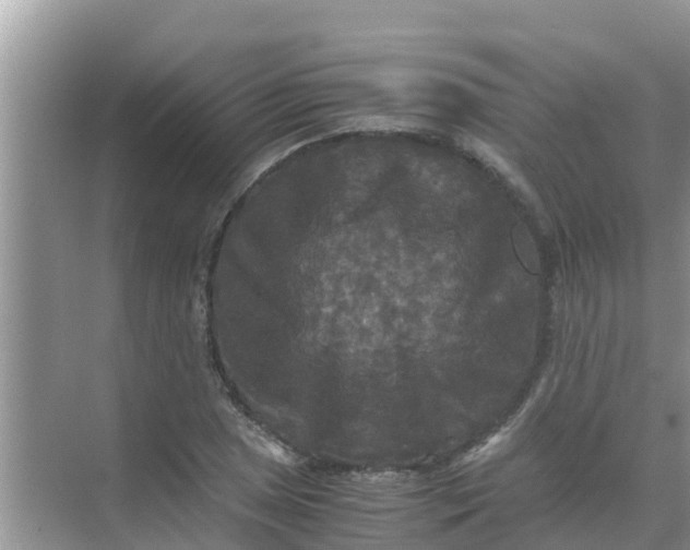 X0000071761025200607142357