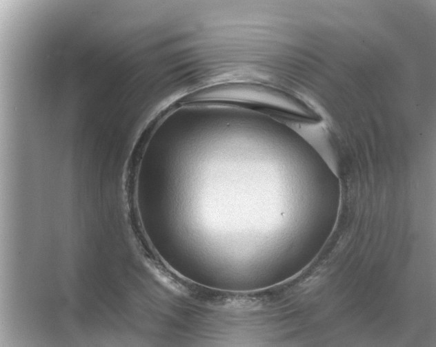 X0000071761026200607142357