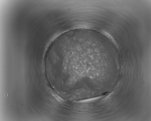 X0000071761027200607142357