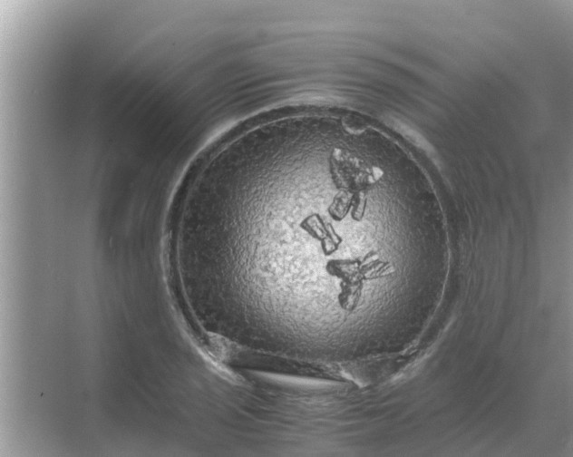 X0000071761029200607142357