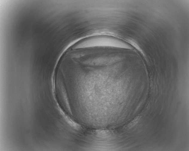 X0000071761032200607142357