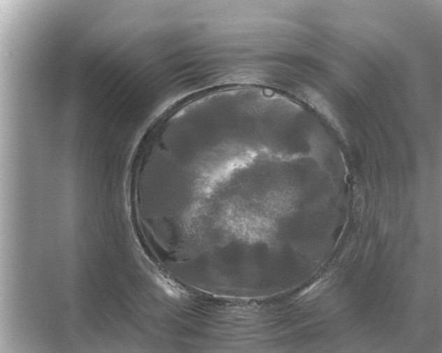 X0000071761035200607142357