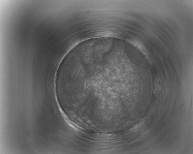 X0000071761039200607142357