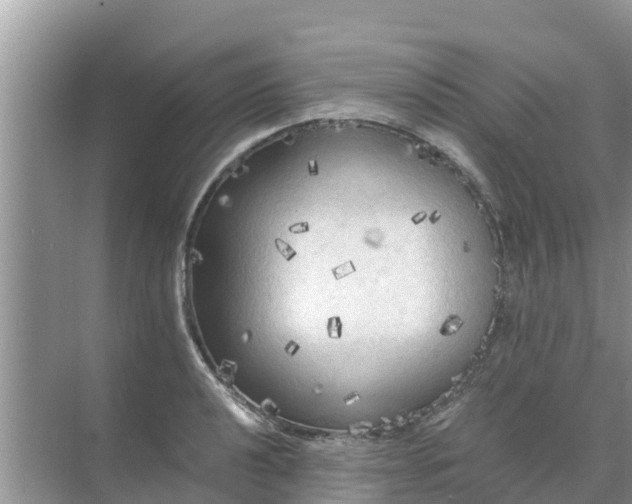 X0000071761040200607142357