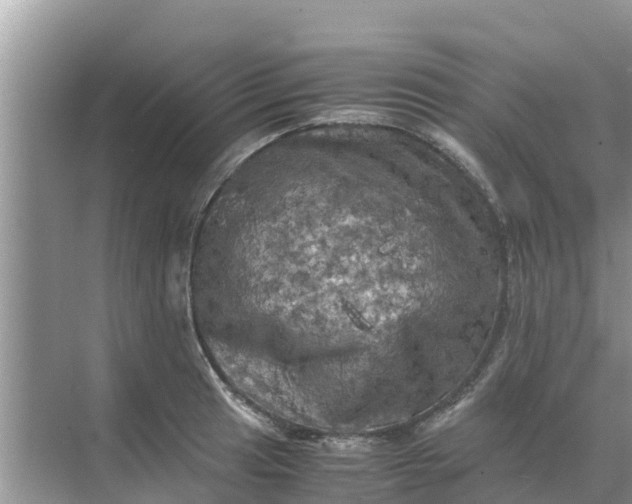 X0000071761041200607142357