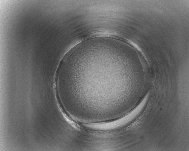 X0000071761042200607142357